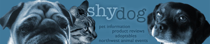 shy dog blog