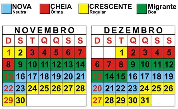 Calendário Lunar 2009