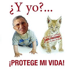 [rOUCO+Y+LINCE.jpg]