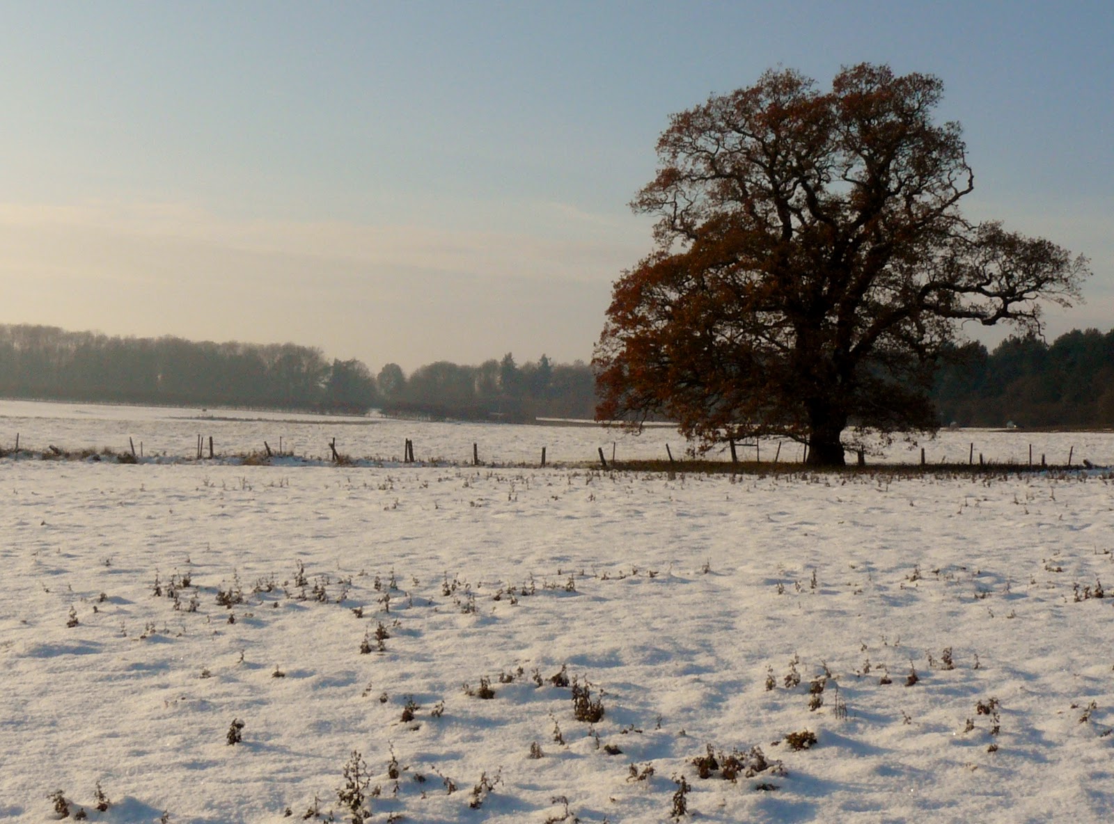 Martin Brookes Oakham Rutland Snow Scenes Barnsdale Rutland Water