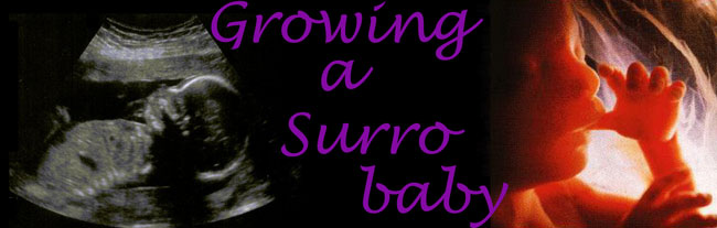 Growing a Surro Baby