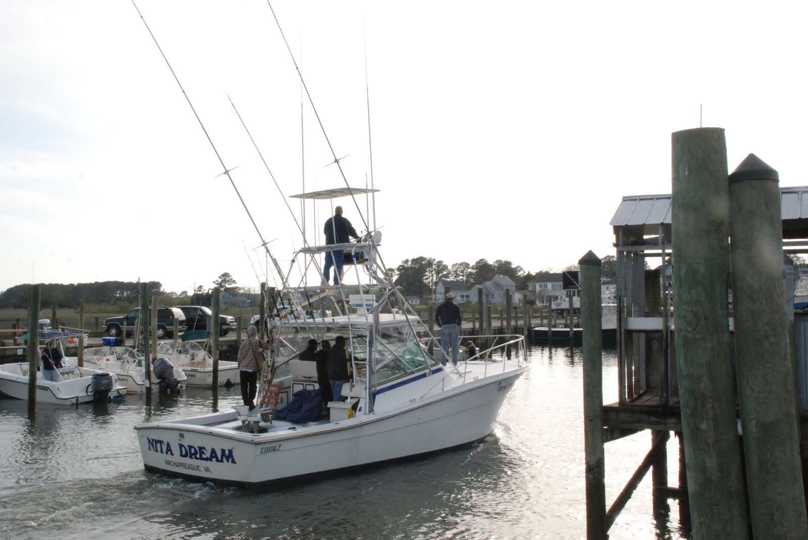 FishWach Wachapreague Fishing Report