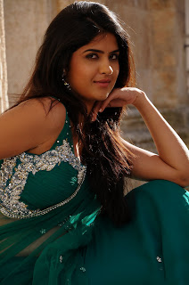 Deeksha Seth Hot In Saree