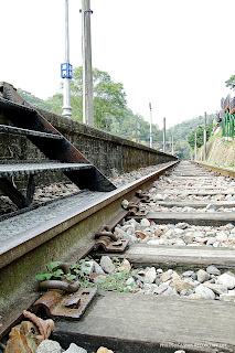 [苗栗] 苗栗一日遊（三義→南庄）