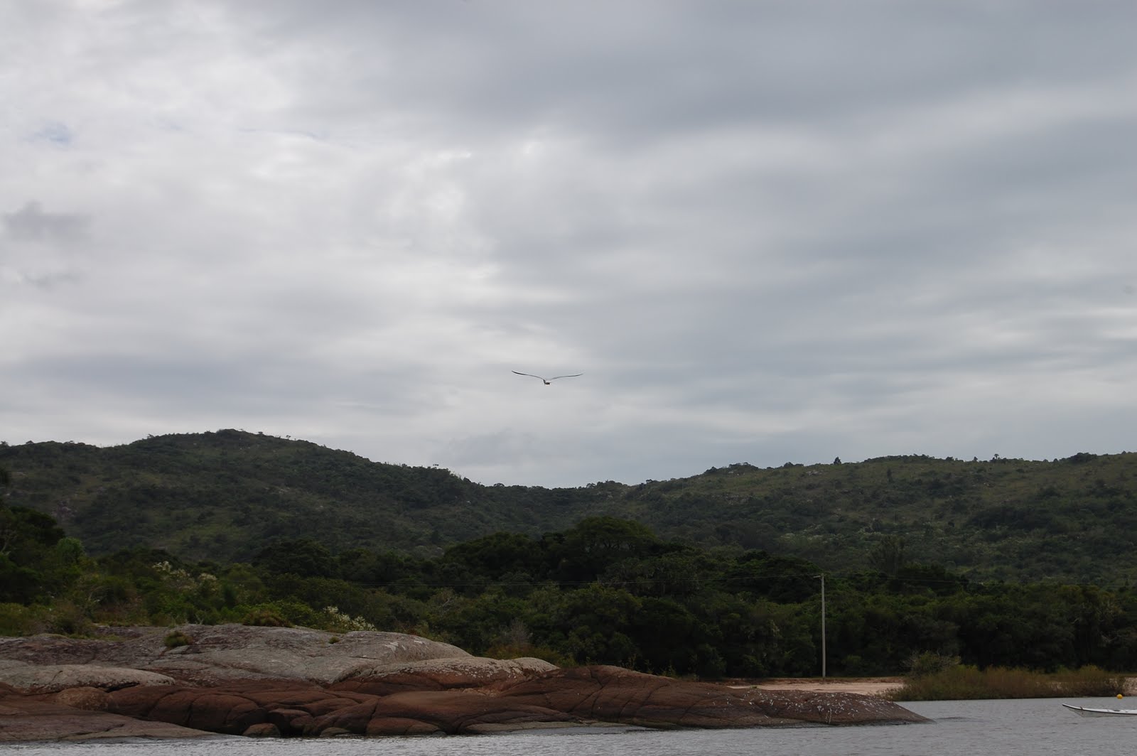 [DSC_1282.JPG]