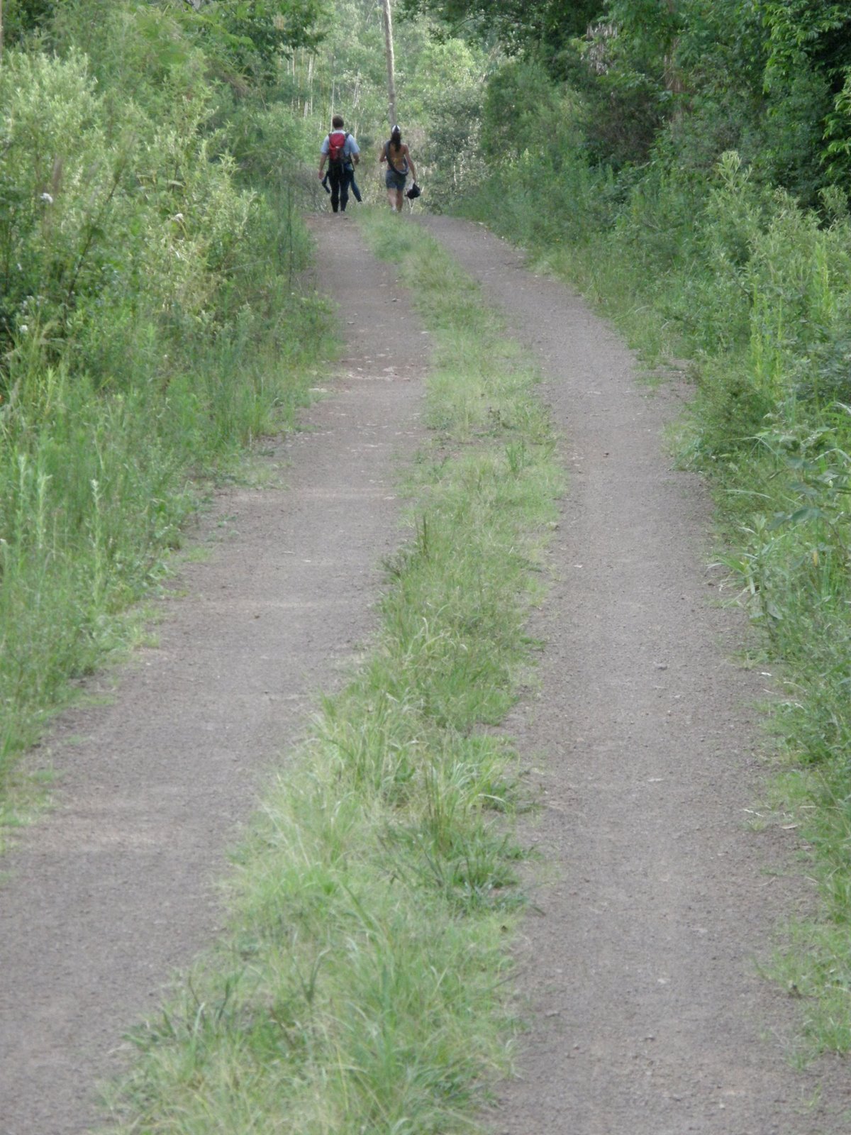 [P1170253.JPG]