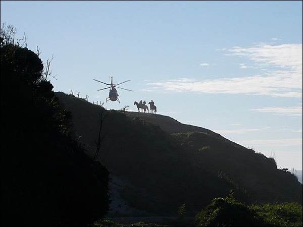 [bourdain_ss_chile_journal_04.jpg]