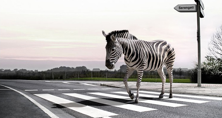 Eventually, I found pedestrian Eventually, I found pedestrian
