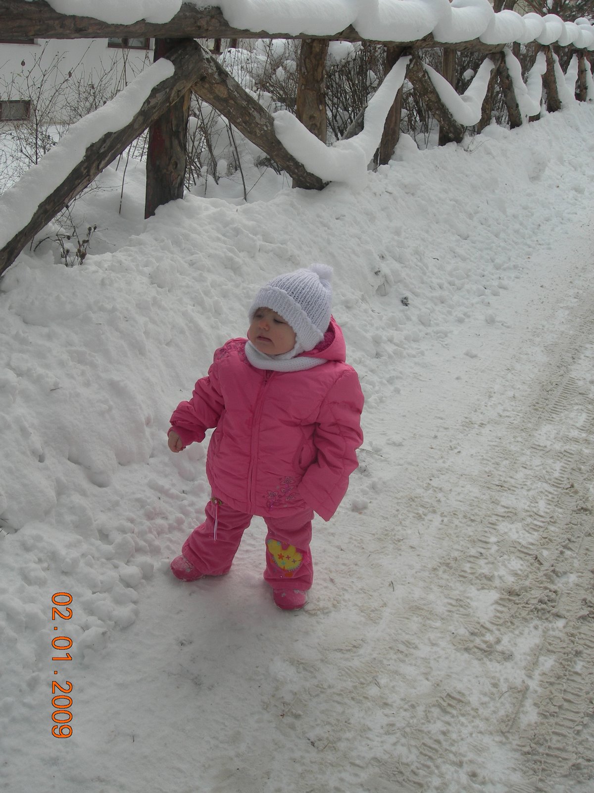 [DSCN1979.JPG]