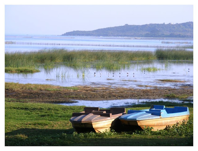 Debopriyo's Pictures Visit to Barkul (Chilka) and GopalpuronSea