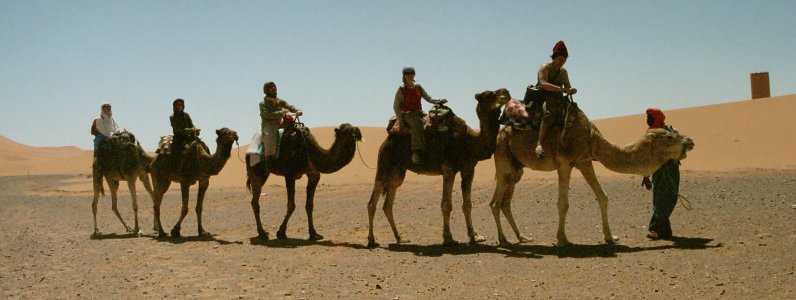 [157+Camellos+de+vuelta+al+camping.JPG]