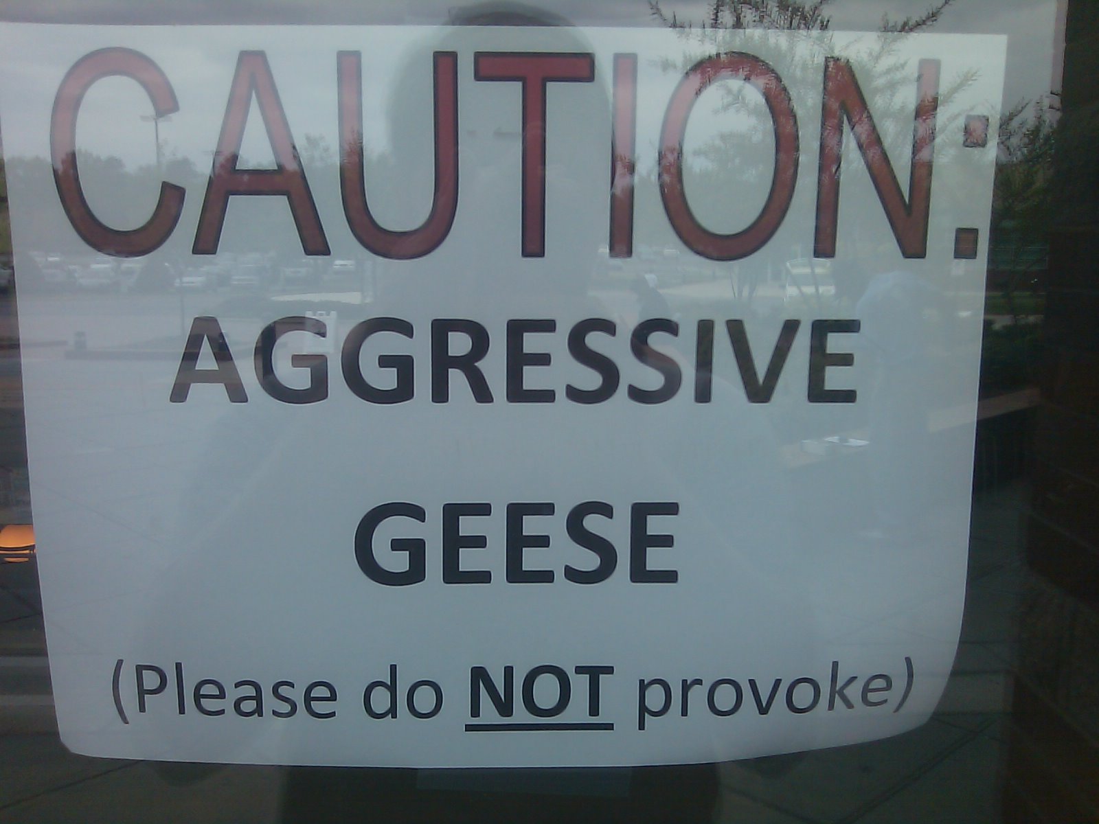 killer geese