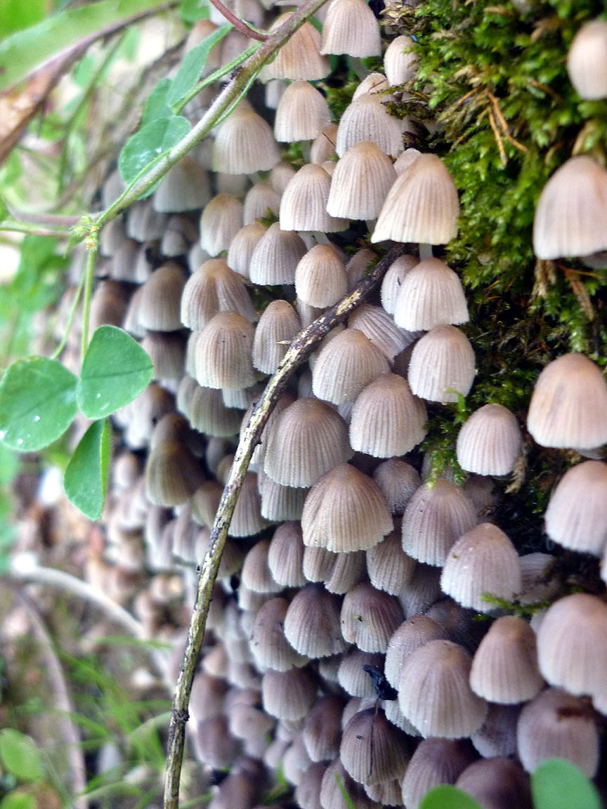 [P1110023.jpg]