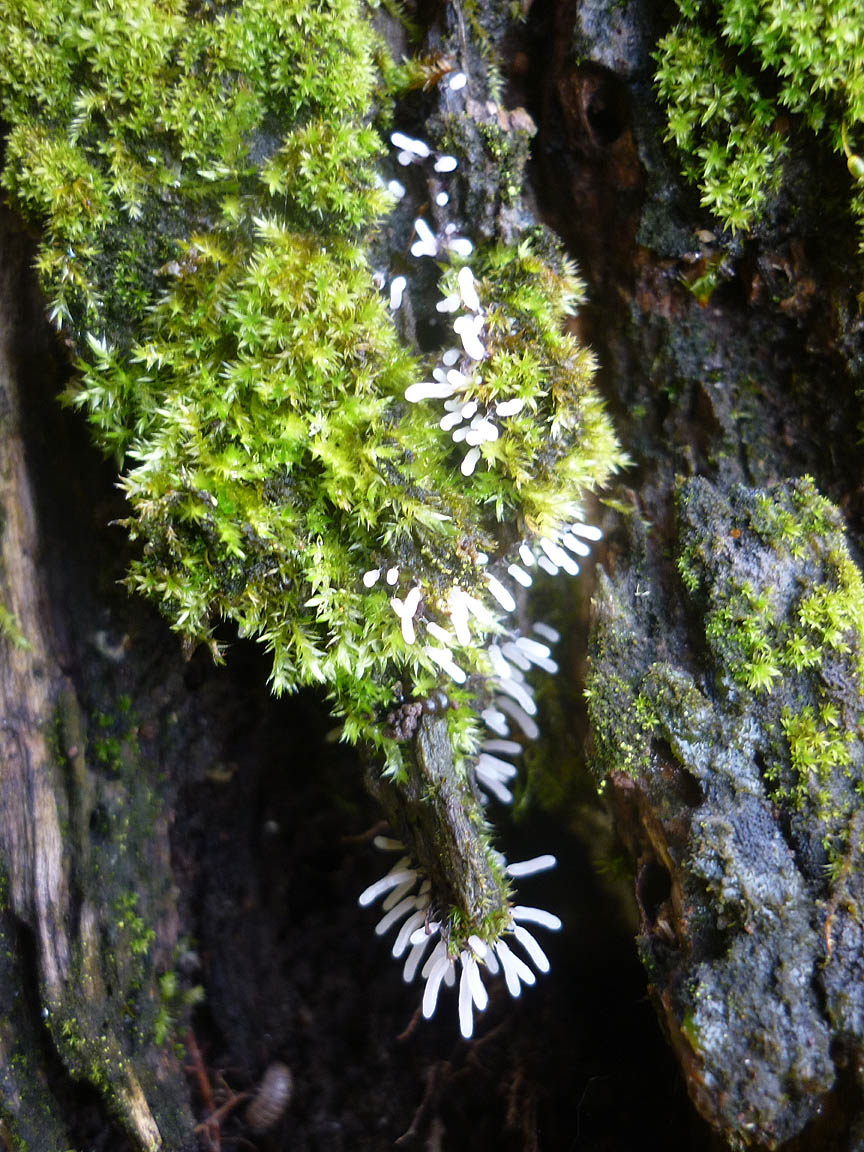 [P1110045.jpg]