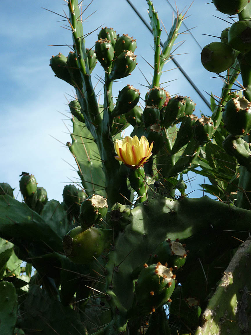 [P1010764.jpg]