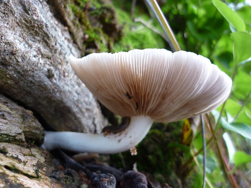 [P1030414.jpg]