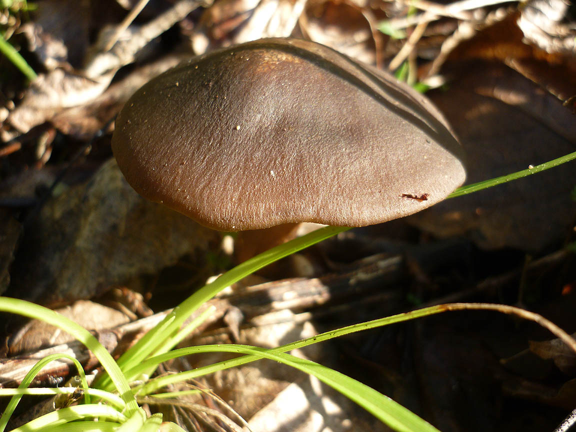 [P1070254.jpg]
