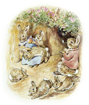 Beatrix Potter illustration,Victorian Edwardian artists,book illustration,British artists