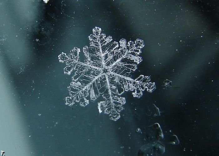 [Stunning_snowflakes_photos_6.jpg]