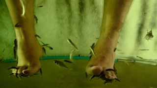 [P1000384_2-718379.jpg]