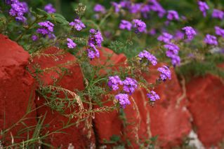 [IMG_2093-767758.jpg]