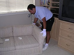 Carpet Cleaning