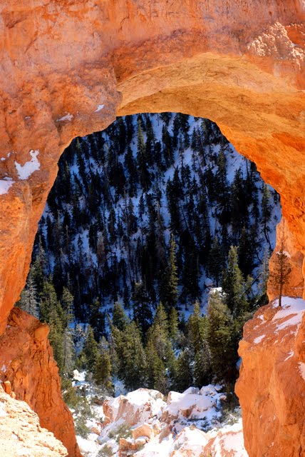Bryce Canyon National Park, winter