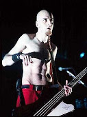 Shavo Odadjian