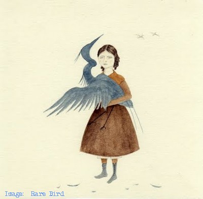 Rare Bird