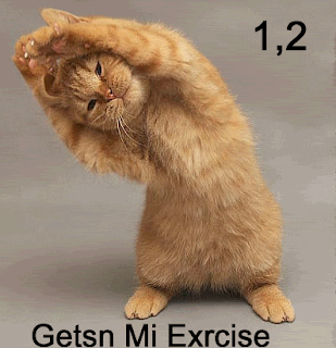 cat%2Bexercise.gif
