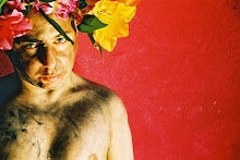 Flores de Acero . . .