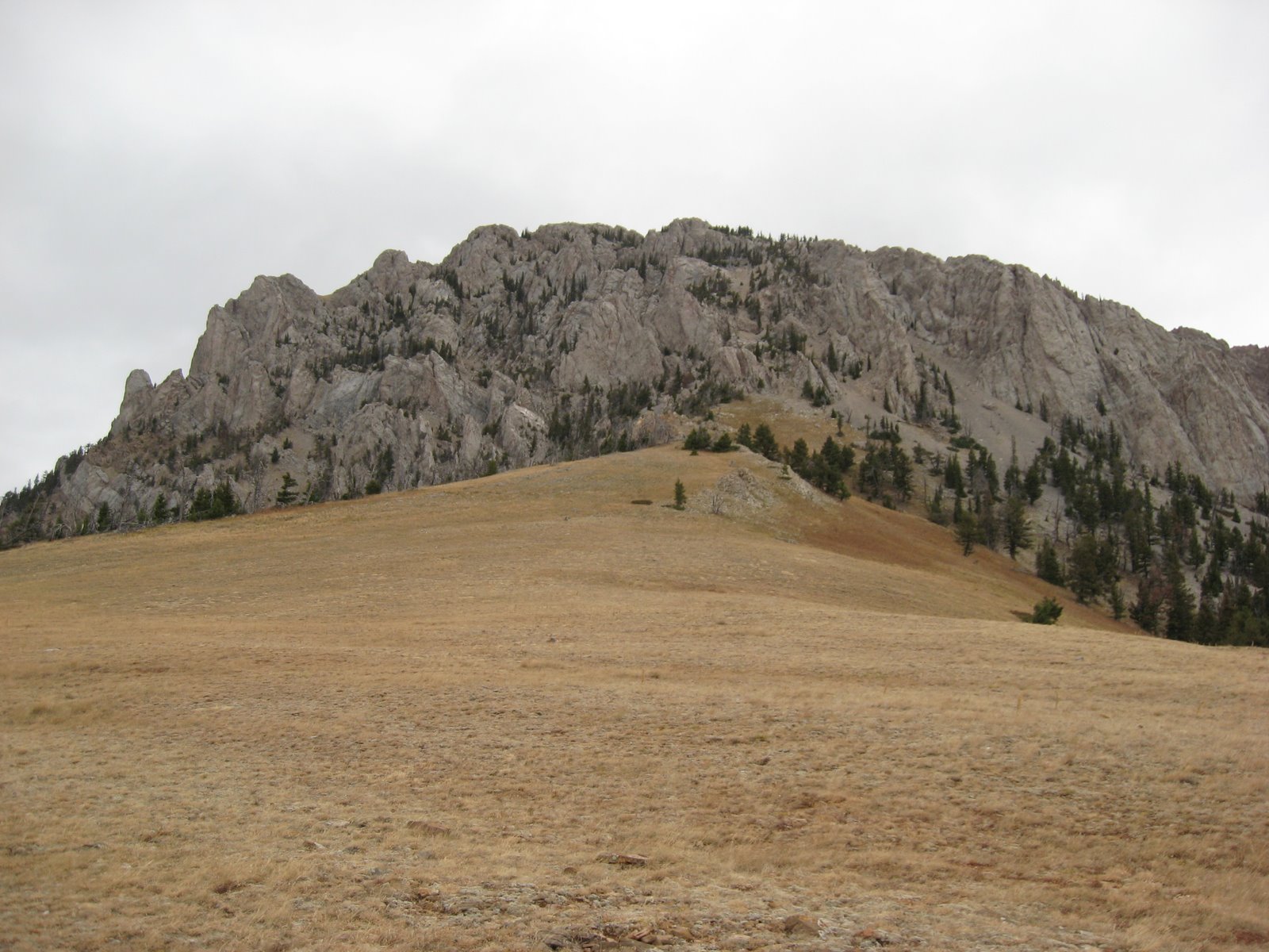 [IMG_1256.JPG]
