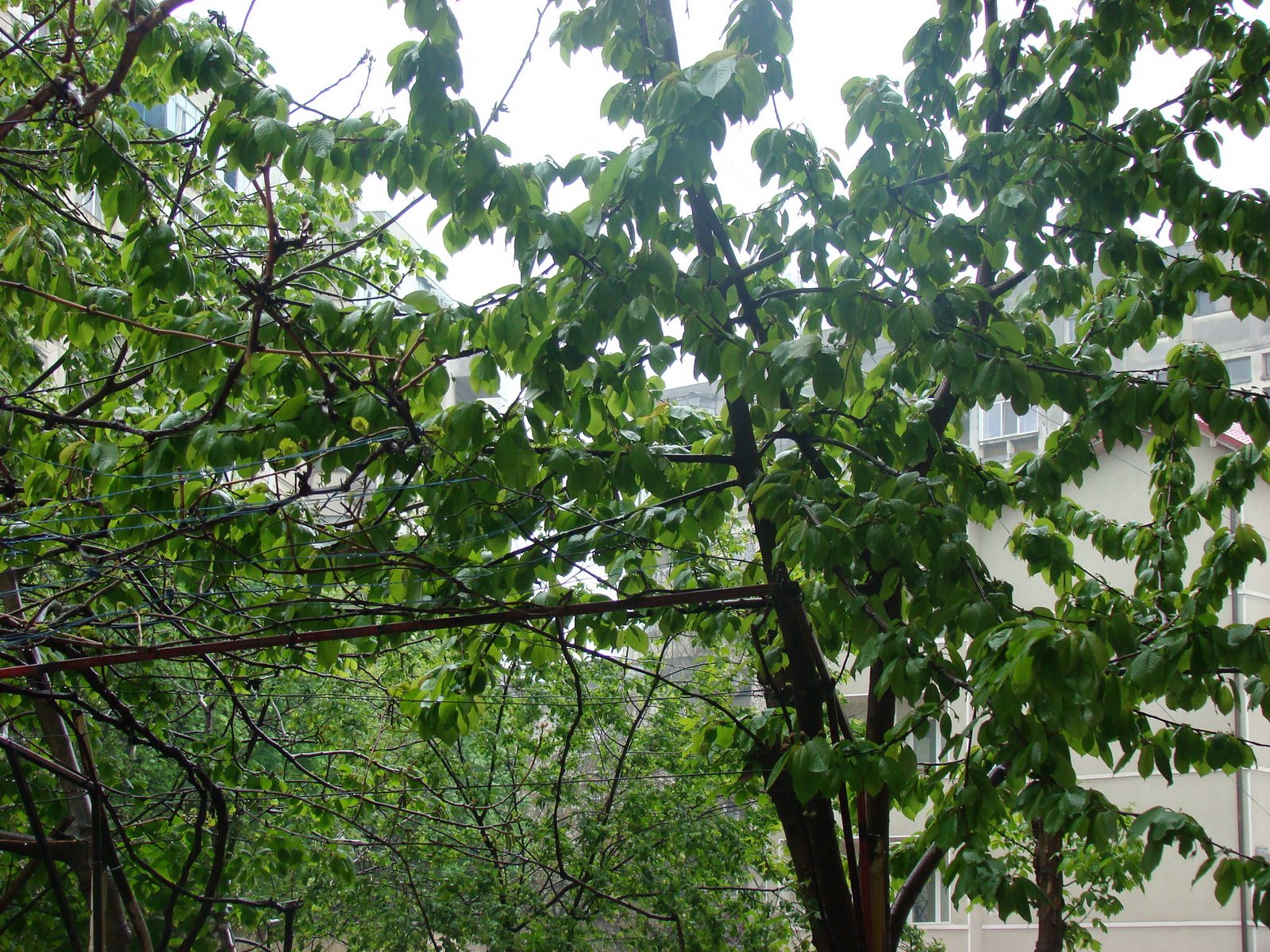 [DSC02345.JPG]