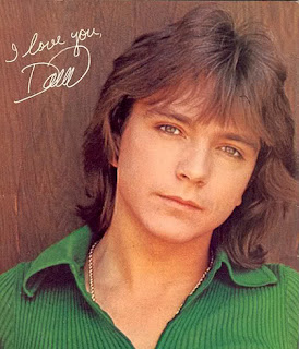 Celebrity Men's Hairstyles With Image David Cassidy Classic Hairstyle With Men's Shaggy Haircuts Picture 2