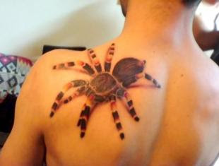 Upper Back 3D Spider Tattoo Design