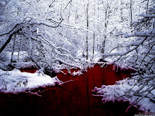Blood River / Rio de Sangre