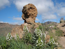 Roque Nublo