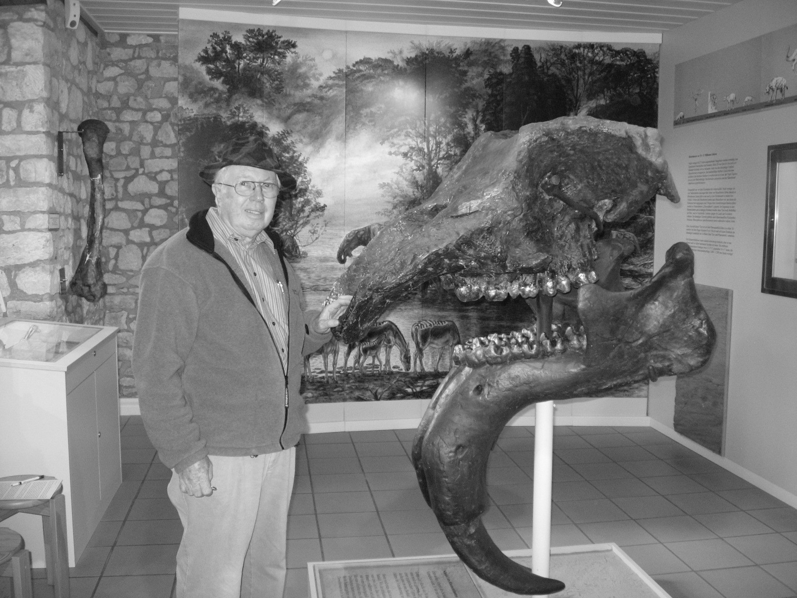 [Dinotherium-Museum.jpg]