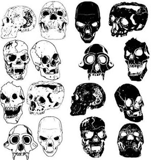  Skulls vector