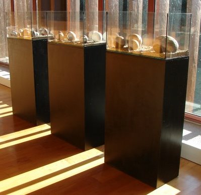 [DSC09971.JPG]
