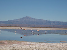 Salar de Atacama