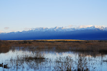 SAN LUIS VALLEY