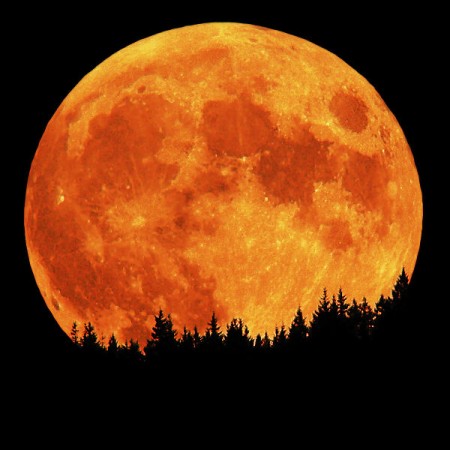 [full+moon.jpg]
