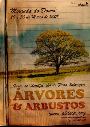 [arvorescurso.jpg]