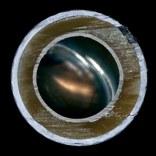 [Image1_H500xW600.jpg]