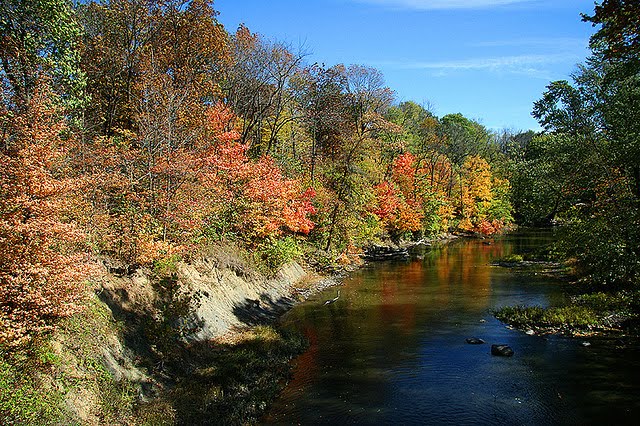 Near the Cabin