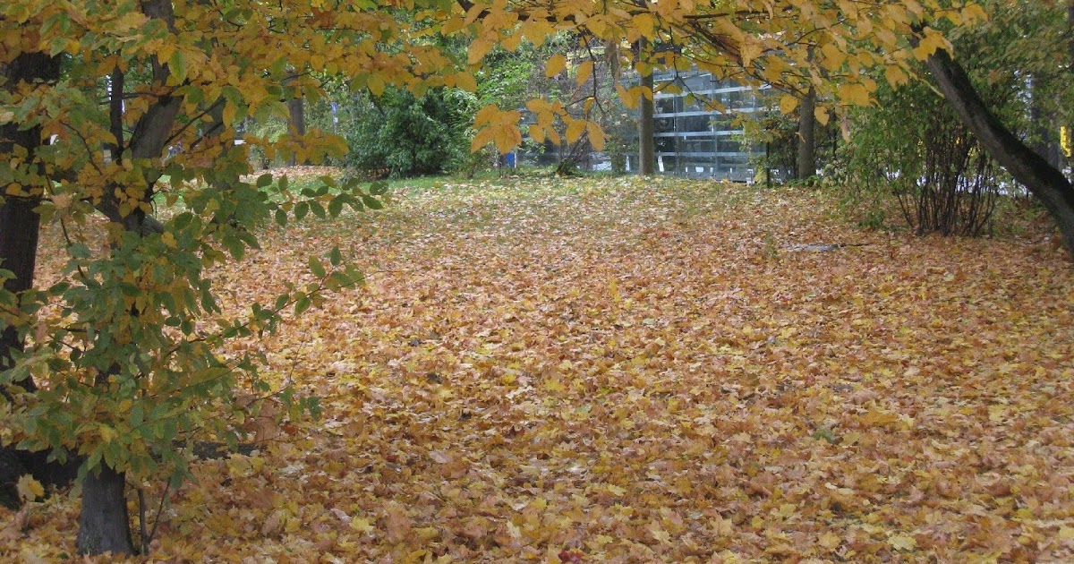 Manjal Nirame, Manjal Nirame....