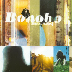 Classics CD's Autres que Rap/Hip Hop Bonobo+-+Animal+Magic