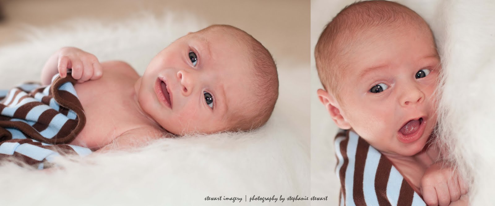 [Newborn-+Colin+Robert-32ps.jpg]