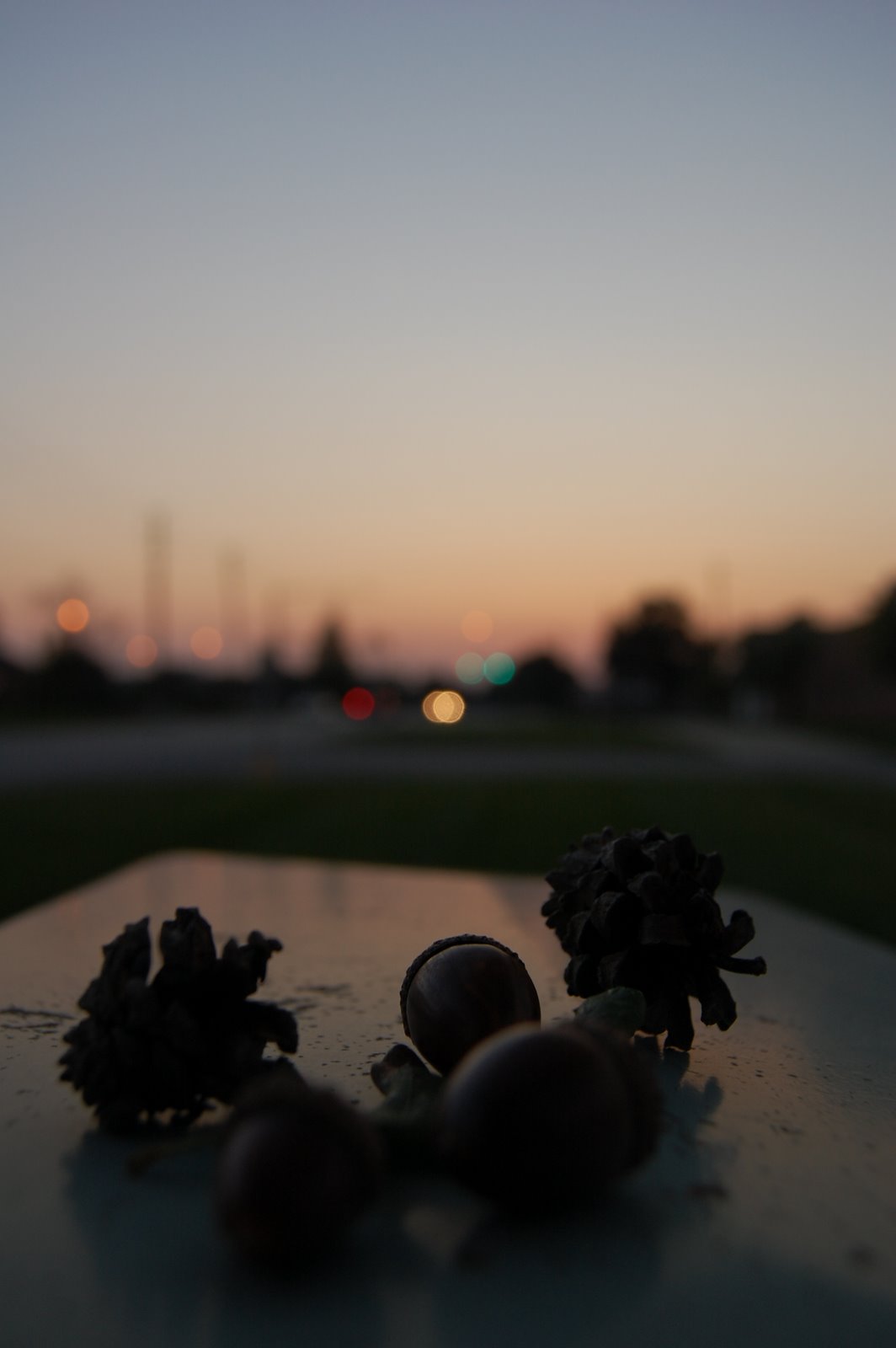 [DSC_4020.JPG]